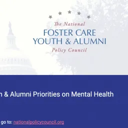 NPC Mental Health priorities