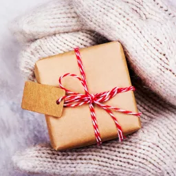 Sneak_gift.jpg